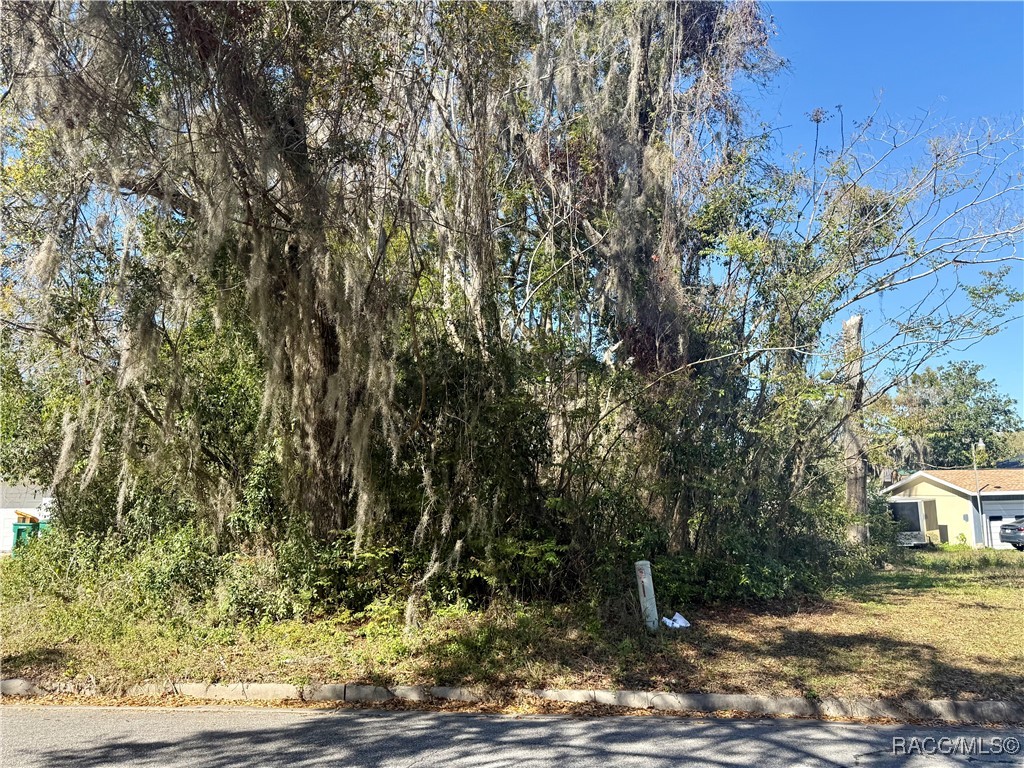 306 S Apopka Avenue, Inverness, Florida image 7