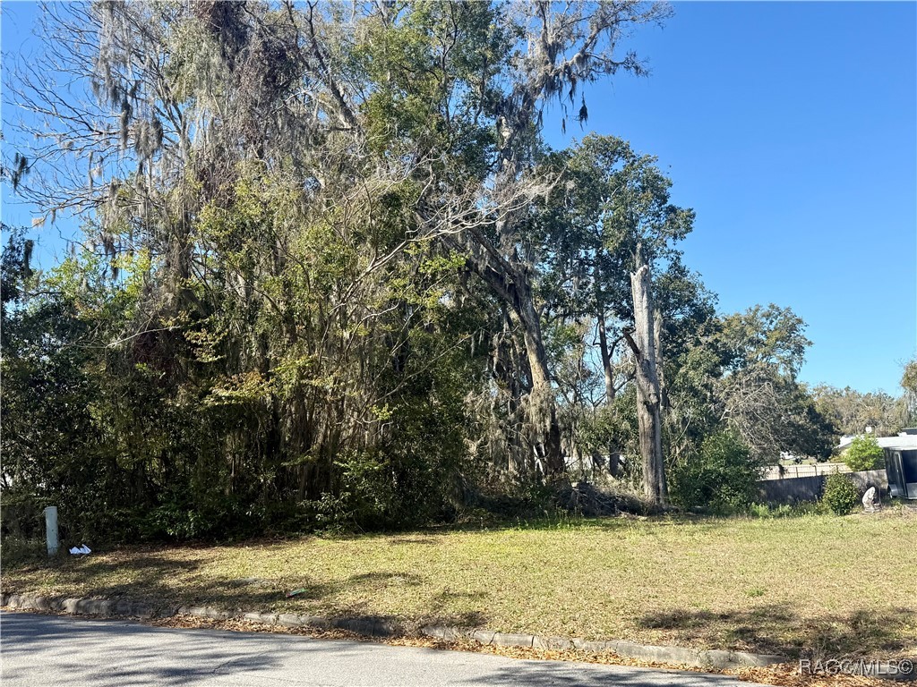 306 S Apopka Avenue, Inverness, Florida image 2