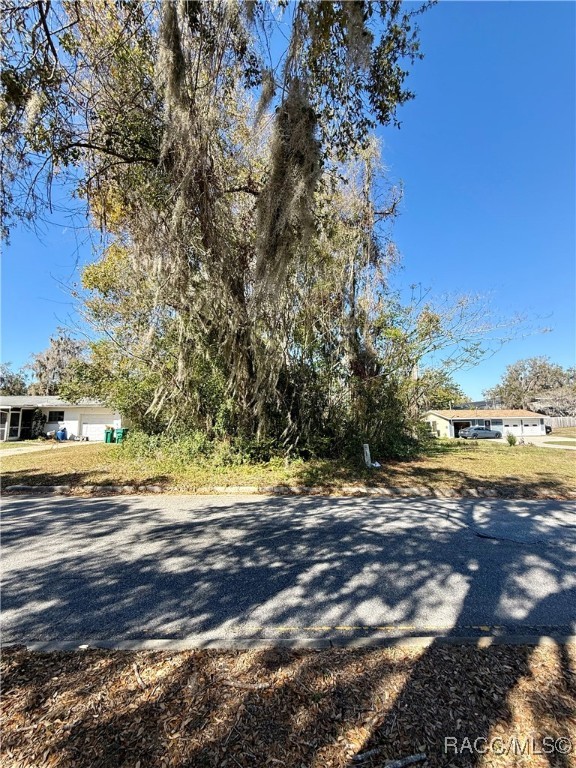 306 S Apopka Avenue, Inverness, Florida image 3