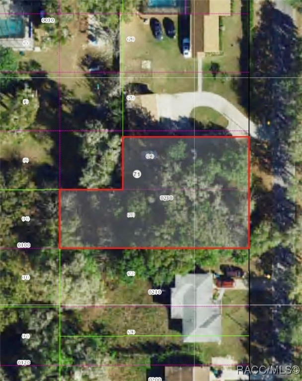306 S Apopka Avenue, Inverness, Florida image 1