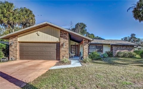 2 Hemlock Court E Homosassa FL 34446