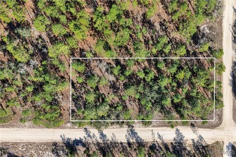 Vacant Land For Sale - SE 2nd, Lot 6 Street<br/> Williston, FL 32696