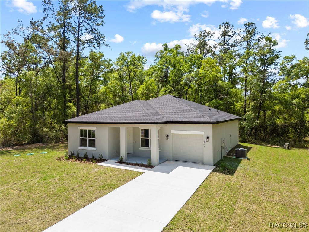 457 E Panama Drive, Dunnellon, Florida image 18
