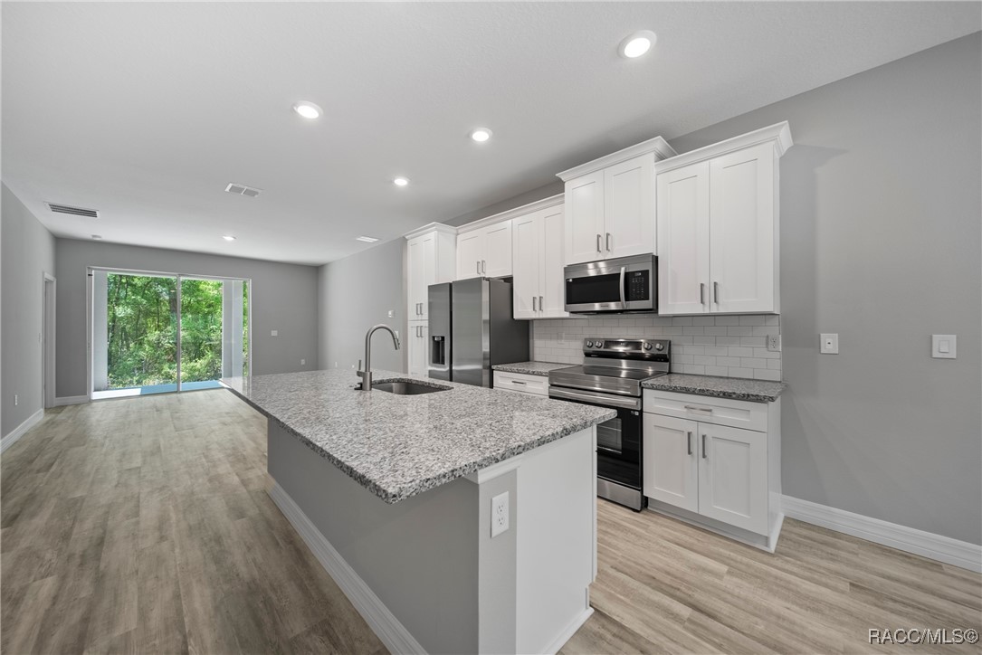 457 E Panama Drive, Dunnellon, Florida image 3