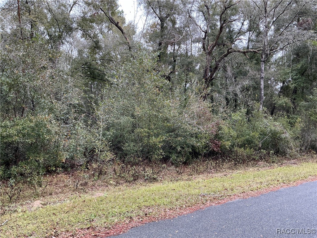 958 E Abend Drive, Citrus Springs, Florida image 3