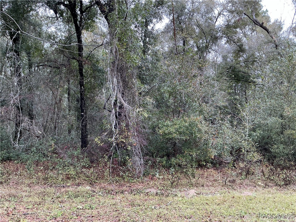 958 E Abend Drive, Citrus Springs, Florida image 1