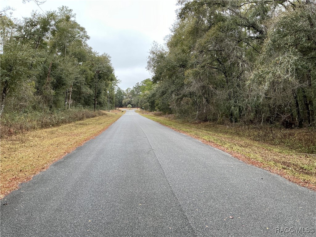 958 E Abend Drive, Citrus Springs, Florida image 4
