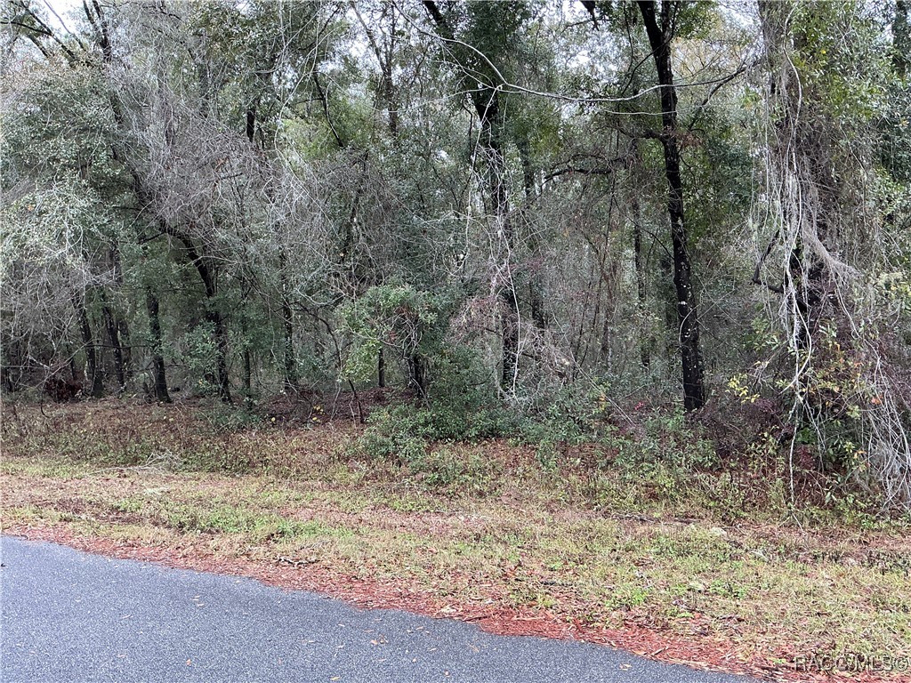 958 E Abend Drive, Citrus Springs, Florida image 2