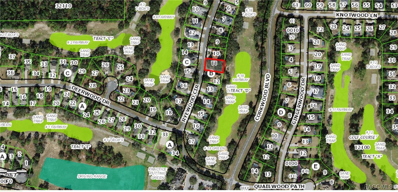 22 Ryewood Circle, Homosassa, Florida image 1