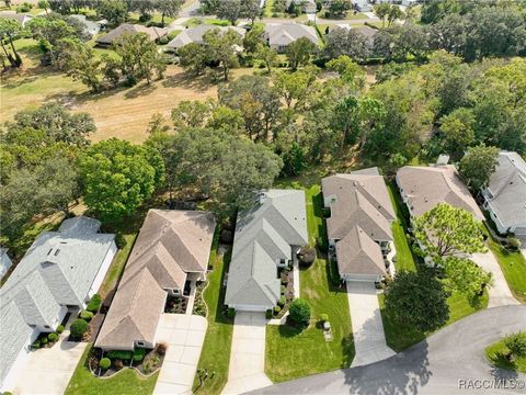 A home in Homosassa