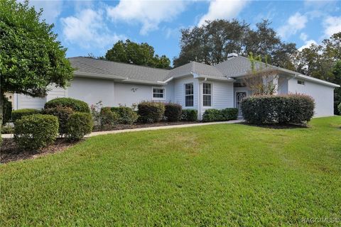 A home in Homosassa