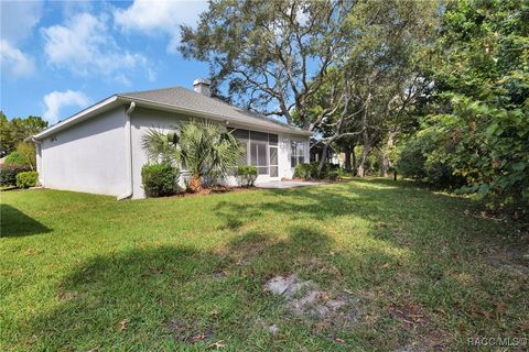 A home in Homosassa