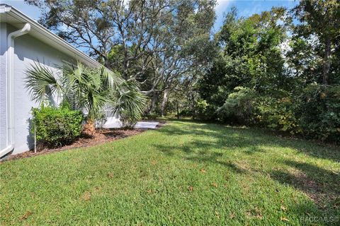 A home in Homosassa