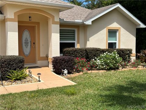 A home in Homosassa