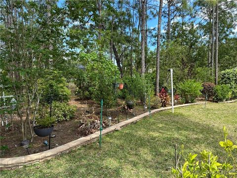 A home in Homosassa