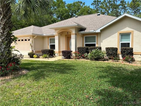 A home in Homosassa