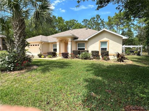 A home in Homosassa