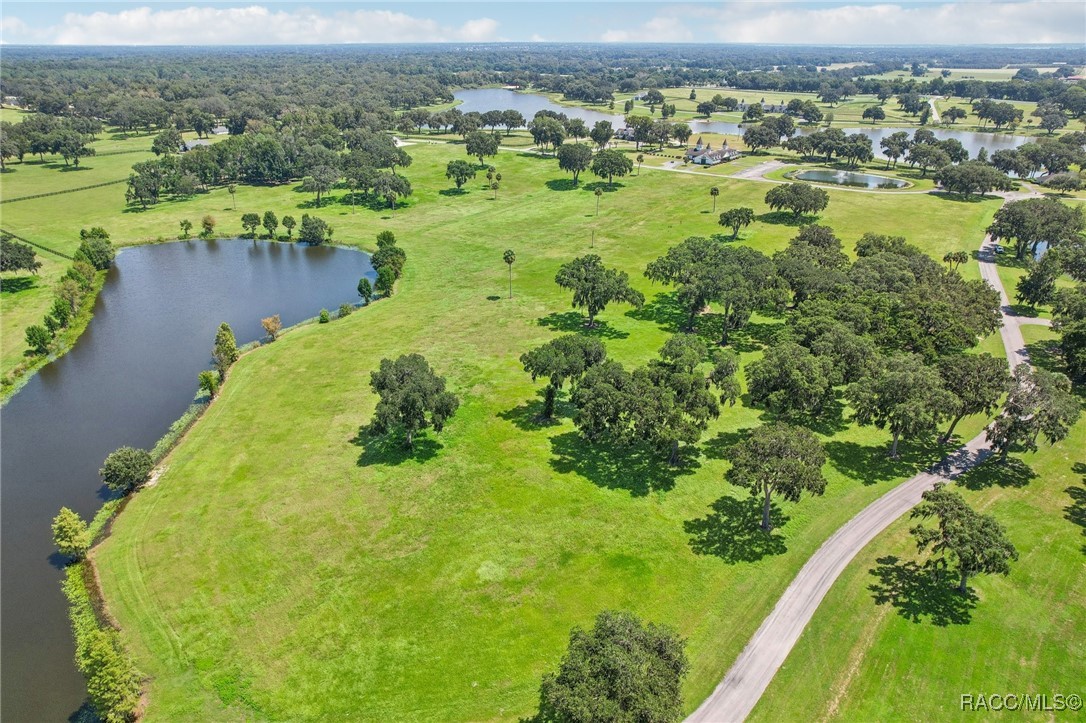 SE 61st Terr Rd Terrace, Summerfield, Florida image 11