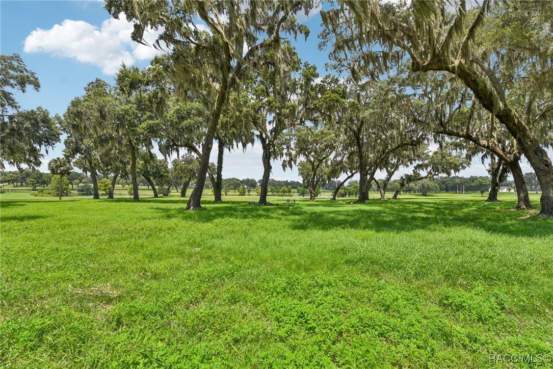 SE 61st Terr Rd Terrace, Summerfield, Florida image 4