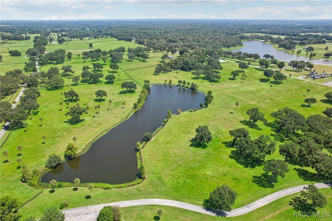 SE 61st Terr Rd Terrace, Summerfield, Florida image 9