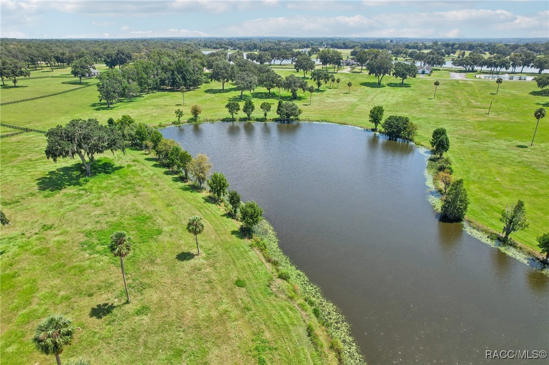 SE 61st Terr Rd Terrace, Summerfield, Florida image 7