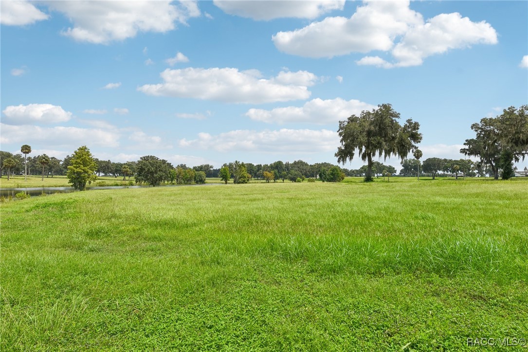 SE 61st Terr Rd Terrace, Summerfield, Florida image 3