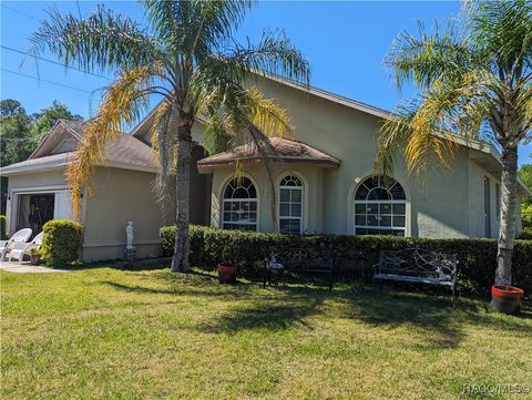 A home in Hernando