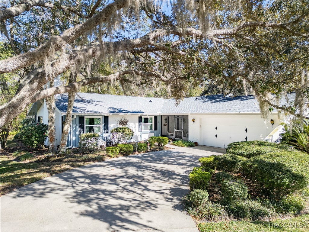 19 Pine Drive, Homosassa, Florida image 1