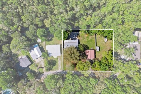 8952 W White Dogwood Drive Homosassa FL 34448
