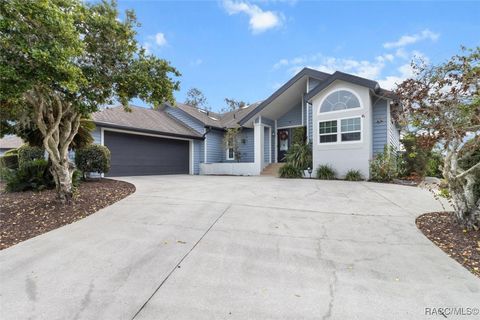 A home in Homosassa