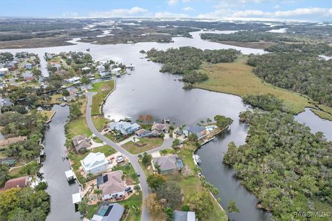 A home in Homosassa