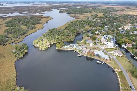 A home in Homosassa