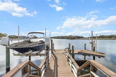 A home in Homosassa