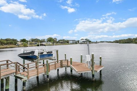 A home in Homosassa