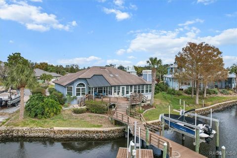 A home in Homosassa