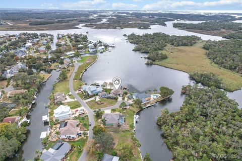 A home in Homosassa