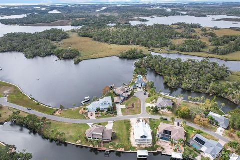 A home in Homosassa