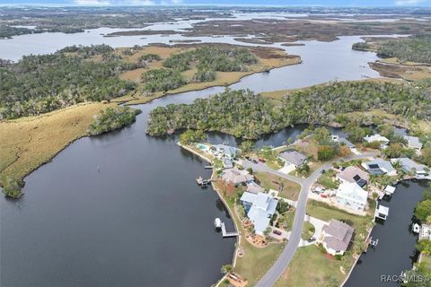 A home in Homosassa