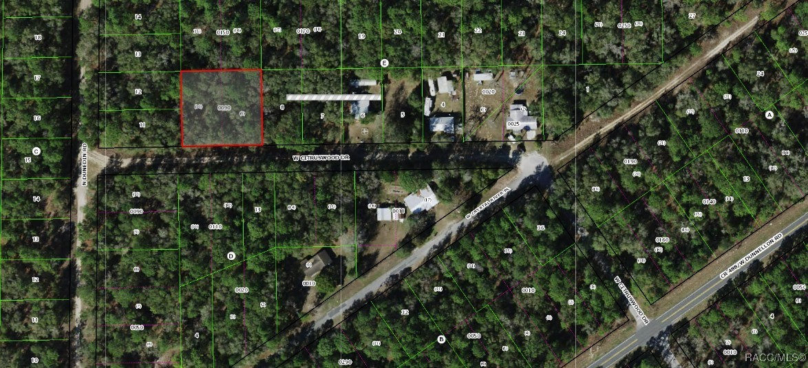 7661 W Citruswood Drive, Dunnellon, Florida image 3