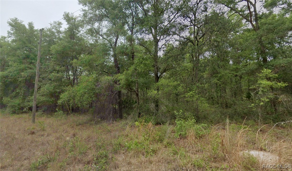 7661 W Citruswood Drive, Dunnellon, Florida image 2
