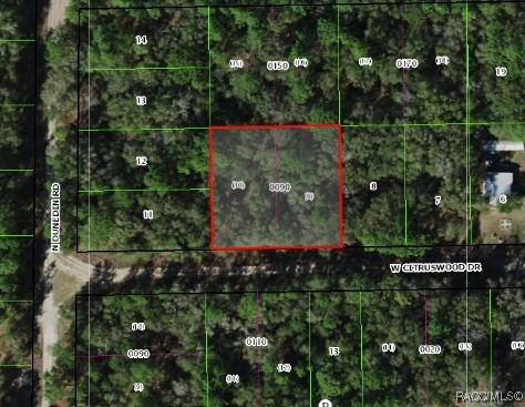 7661 W Citruswood Drive, Dunnellon, Florida image 1