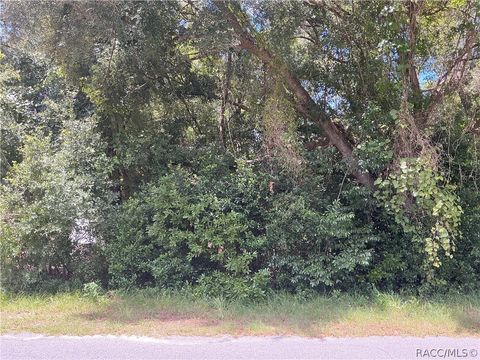 Vacant Land For Sale - 3953 E Sanders Street<br/> Inverness, FL 34453