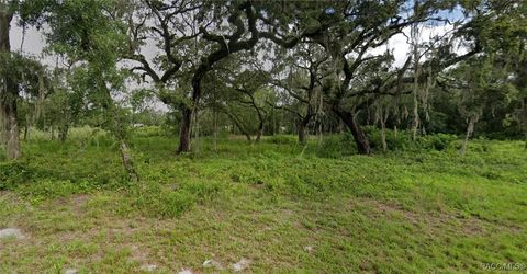 9117 E Royal Palm Drive Inverness FL 34450