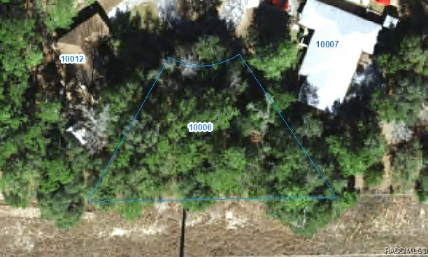 Citrus Springs, Florida 34434, United States, ,Land,Pending,169678
