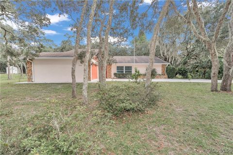 A home in Hernando