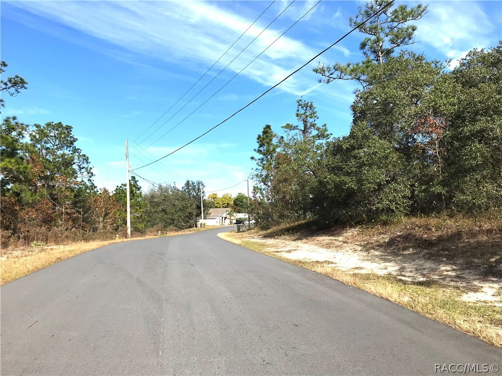 222 Linder Drive, Homosassa, Florida image 7