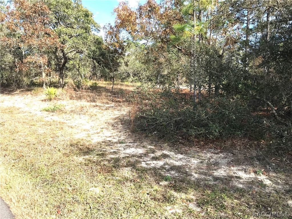 222 Linder Drive, Homosassa, Florida image 10