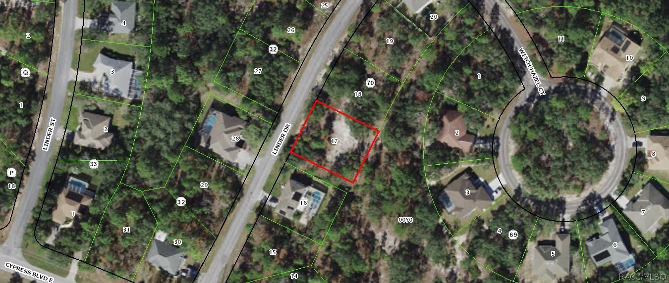 222 Linder Drive, Homosassa, Florida image 9