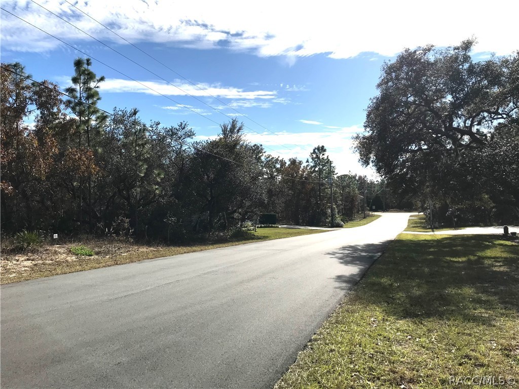 222 Linder Drive, Homosassa, Florida image 5