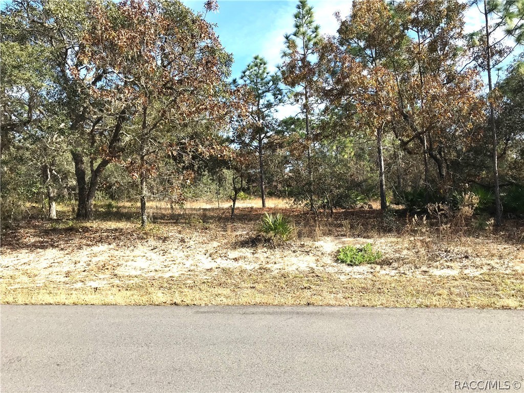 222 Linder Drive, Homosassa, Florida image 4
